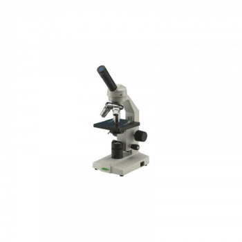 Vetrini microscopio BIOLOGIA 2 10pz 4964